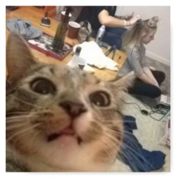 PhototasticCollage-2016-08-09-19-41-27